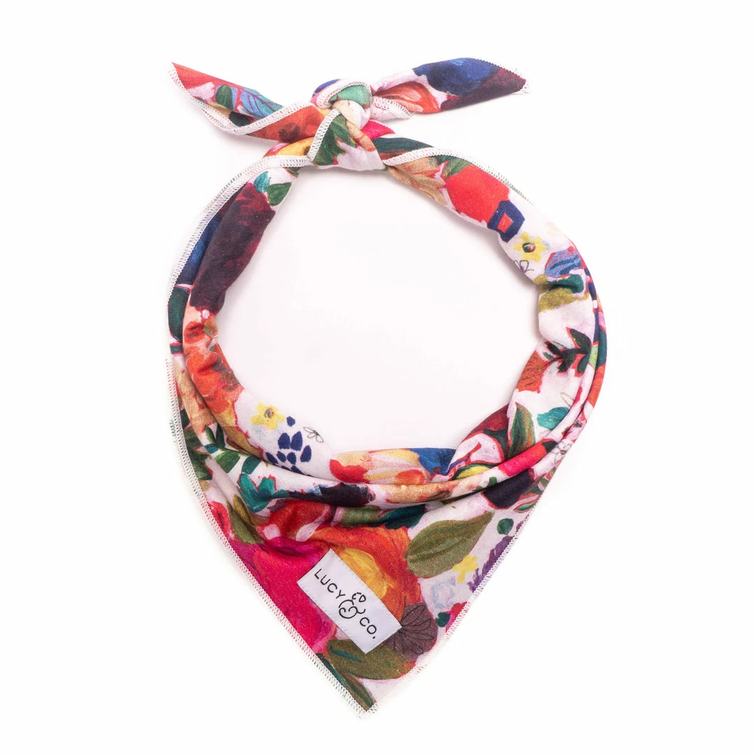 Lucy & Co.: Rosa Bandana