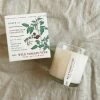KOBO PTB Collection Wild Tomato Vine Candle