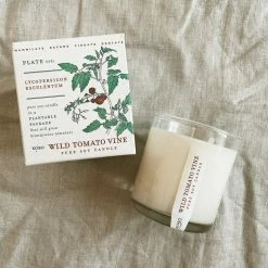 KOBO PTB Collection Wild Tomato Vine Candle