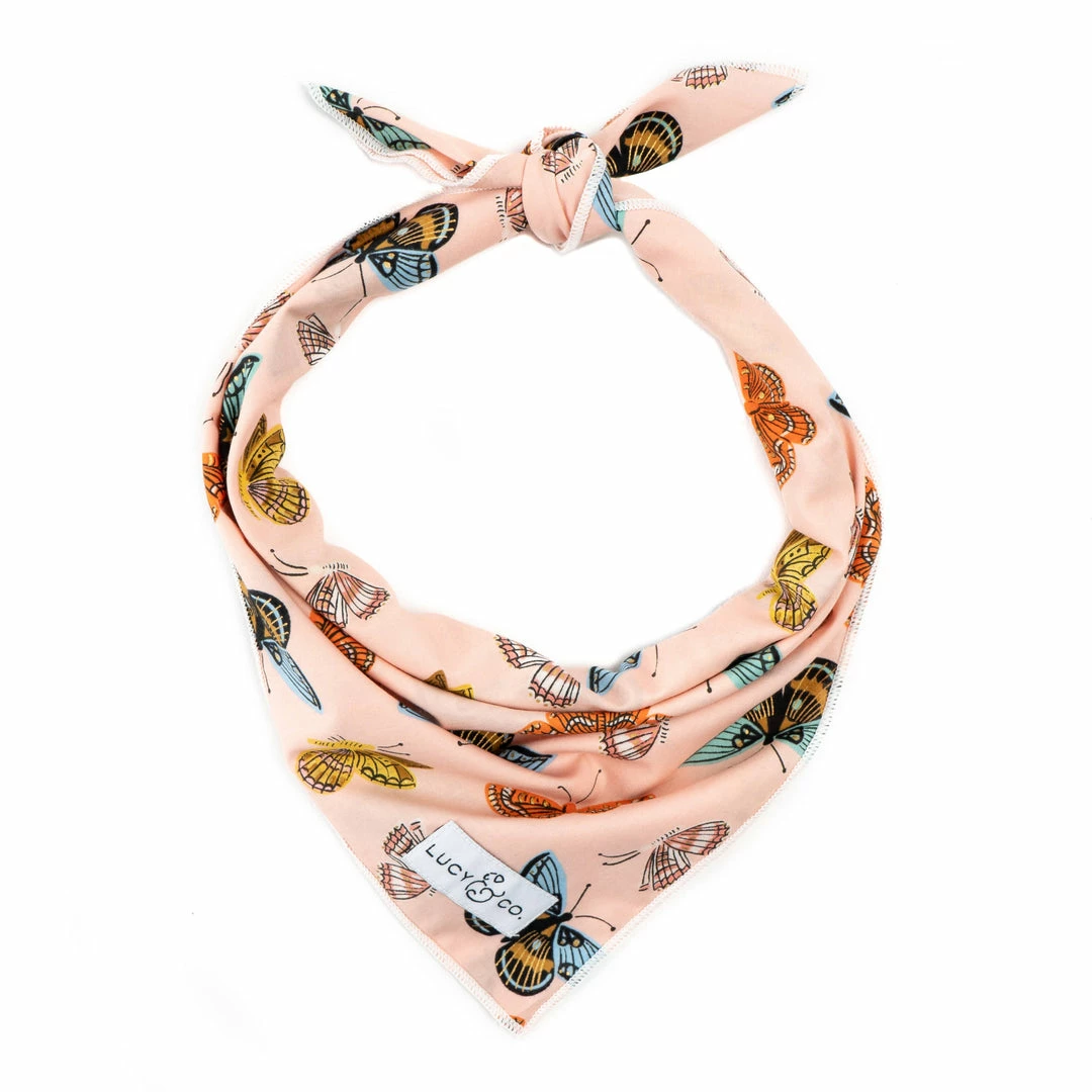 Lucy & Co.: Yara Bandana