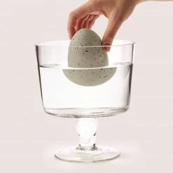 Two's Company Mystery Growing Dino In Egg