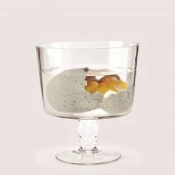 Two's Company Mystery Growing Dino In Egg