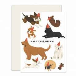 Slightly Stationery Dogs Birthday Card Slightly Stationary