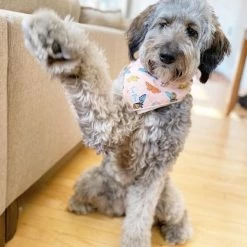 Lucy & Co.: Yara Bandana