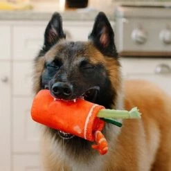 P.L.A.Y. Pet Lifestyle And You Bloody Mary Morning Buddy Mary Dog Toy