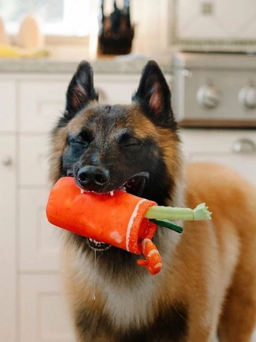 P.L.A.Y. Pet Lifestyle And You Bloody Mary Morning Buddy Mary Dog Toy