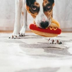 P.L.A.Y. Pet Lifestyle And You Hot Dog Dog Toy 4th Of July Weekend