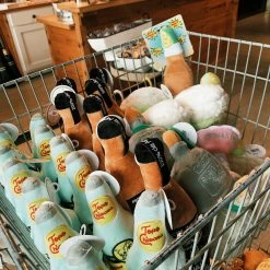 Haute Diggity Dog Topo Chiwawa Dog Toy Lake