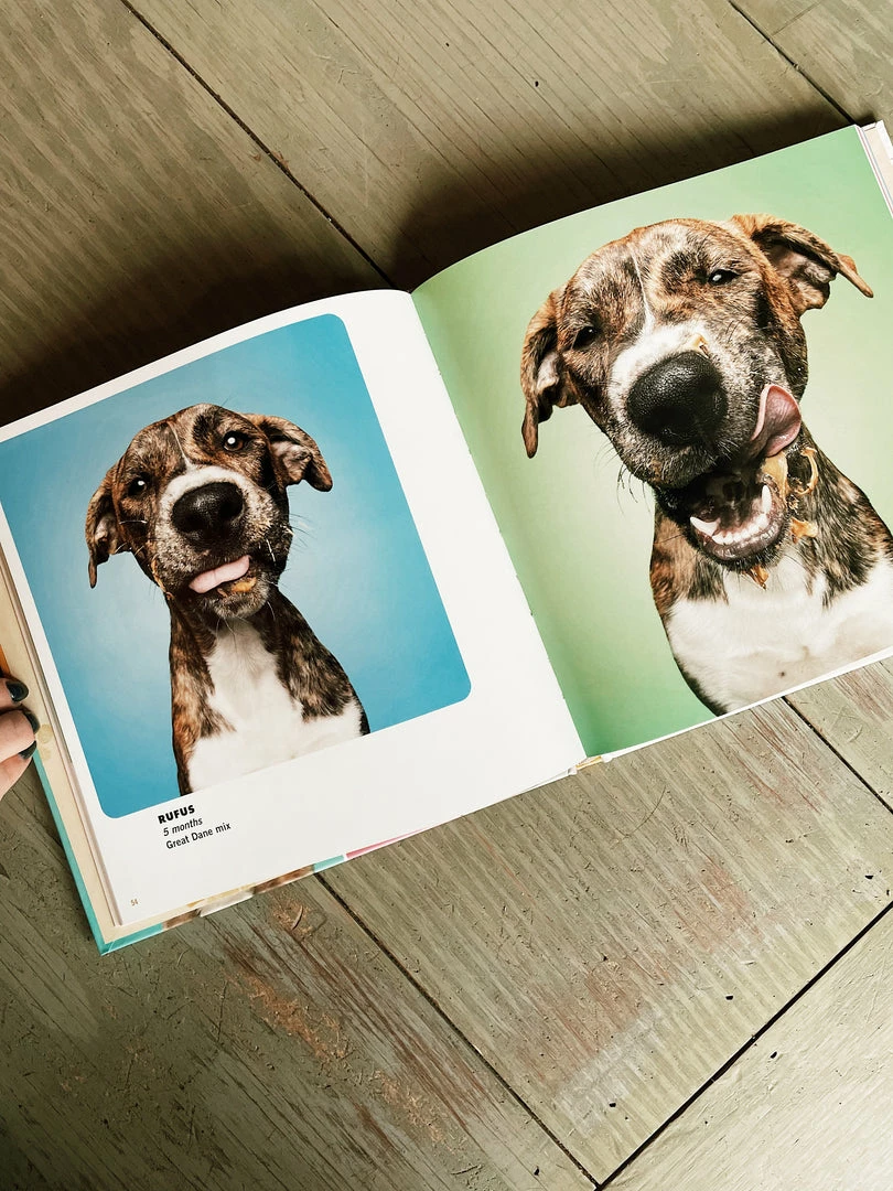 Gibbs Smith Books Peanut Butter Puppies