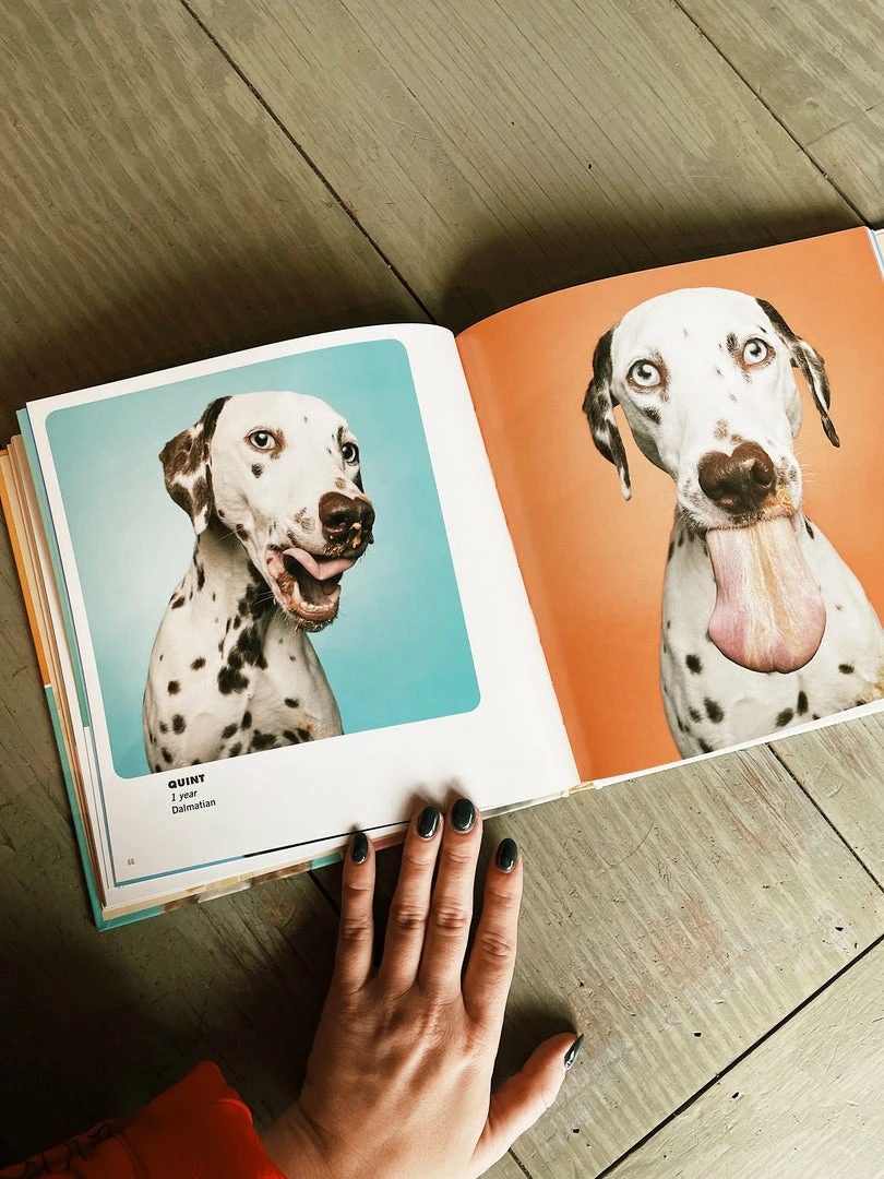 Gibbs Smith Books Peanut Butter Puppies