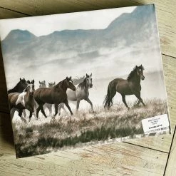 Gibbs Smith Wild Horses Of The West