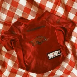 Little Earth Productions Arkansas Razorbacks Pet Stretch Jersey - Small