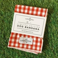 Lucy & Co.: Kennedy Bandana Arkansas Razorbacks