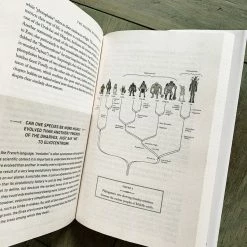 Simon & Schuster Gifts For Him The Science Of Middle Earth