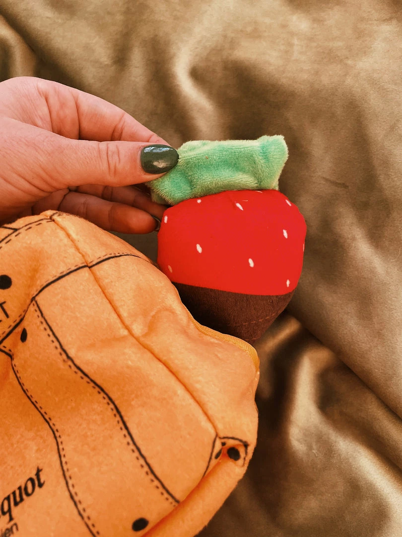 Haute Diggity Dog Woof Clicquot Pawty Set