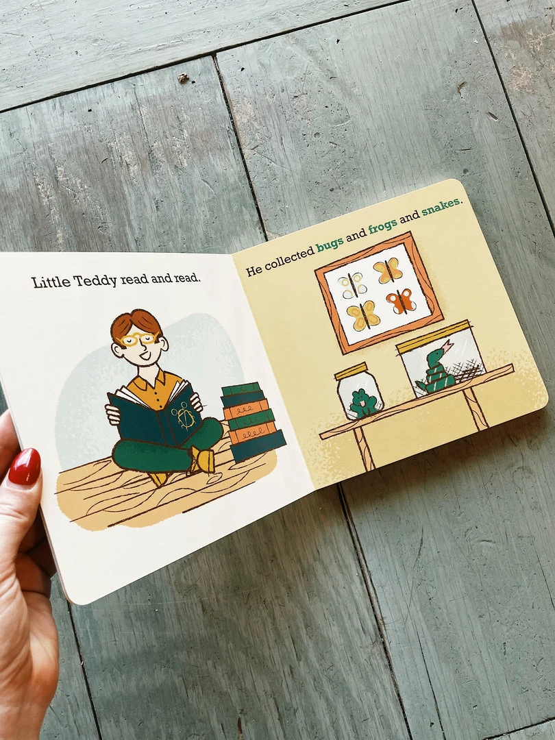 Gibbs Smith Little Naturalist: Teddy Roosevelt Loved The Outdoors National Parks