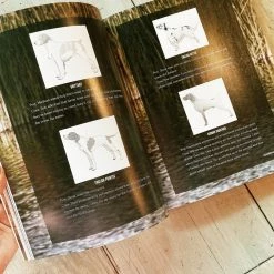 Puffin Random House The Complete Guide To Hunting Butchering And Cooking Wild Game (Volume 2) Gifts For Him