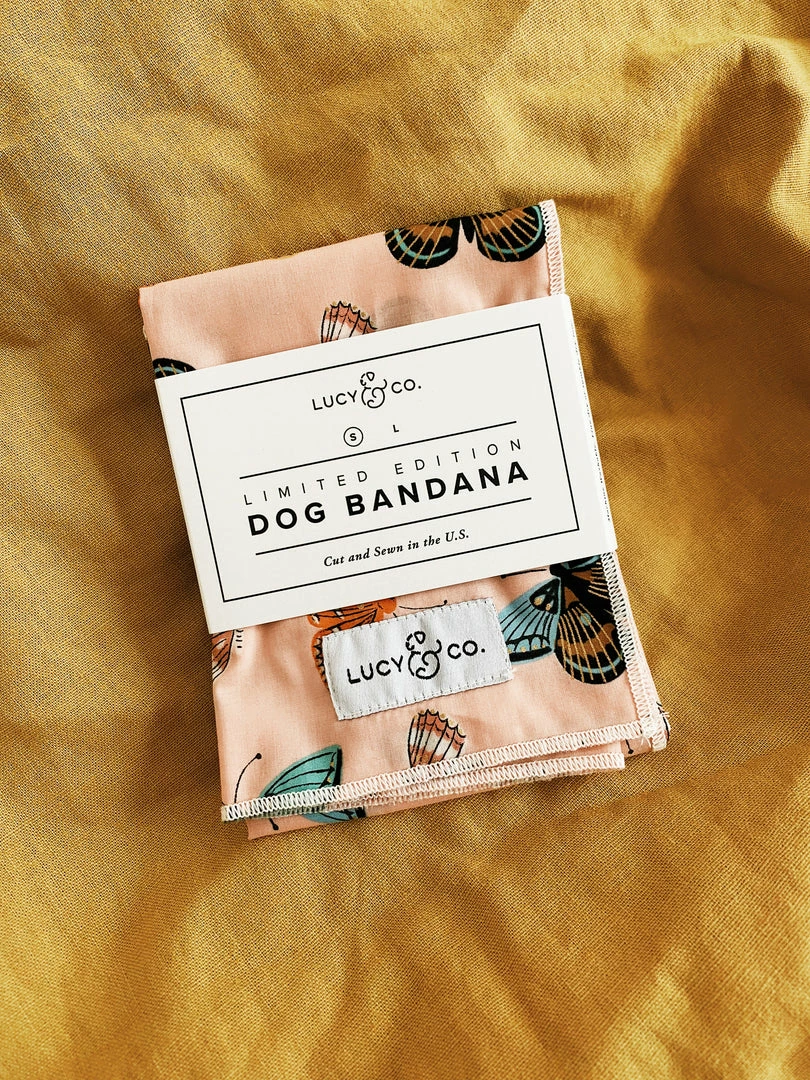 Lucy & Co.: Yara Bandana