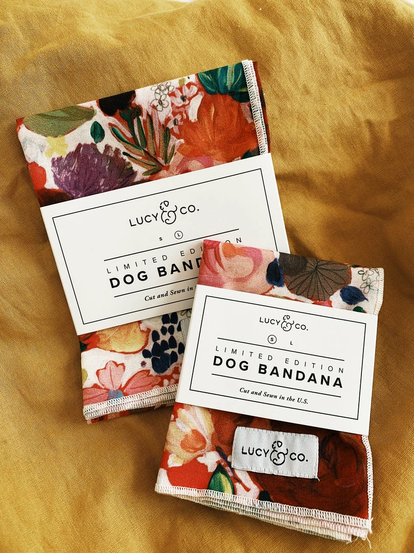 Lucy & Co.: Rosa Bandana