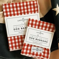 Lucy & Co.: Kennedy Bandana Arkansas Razorbacks