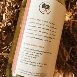 Pink House Alchemy: Winter Mint Syrup