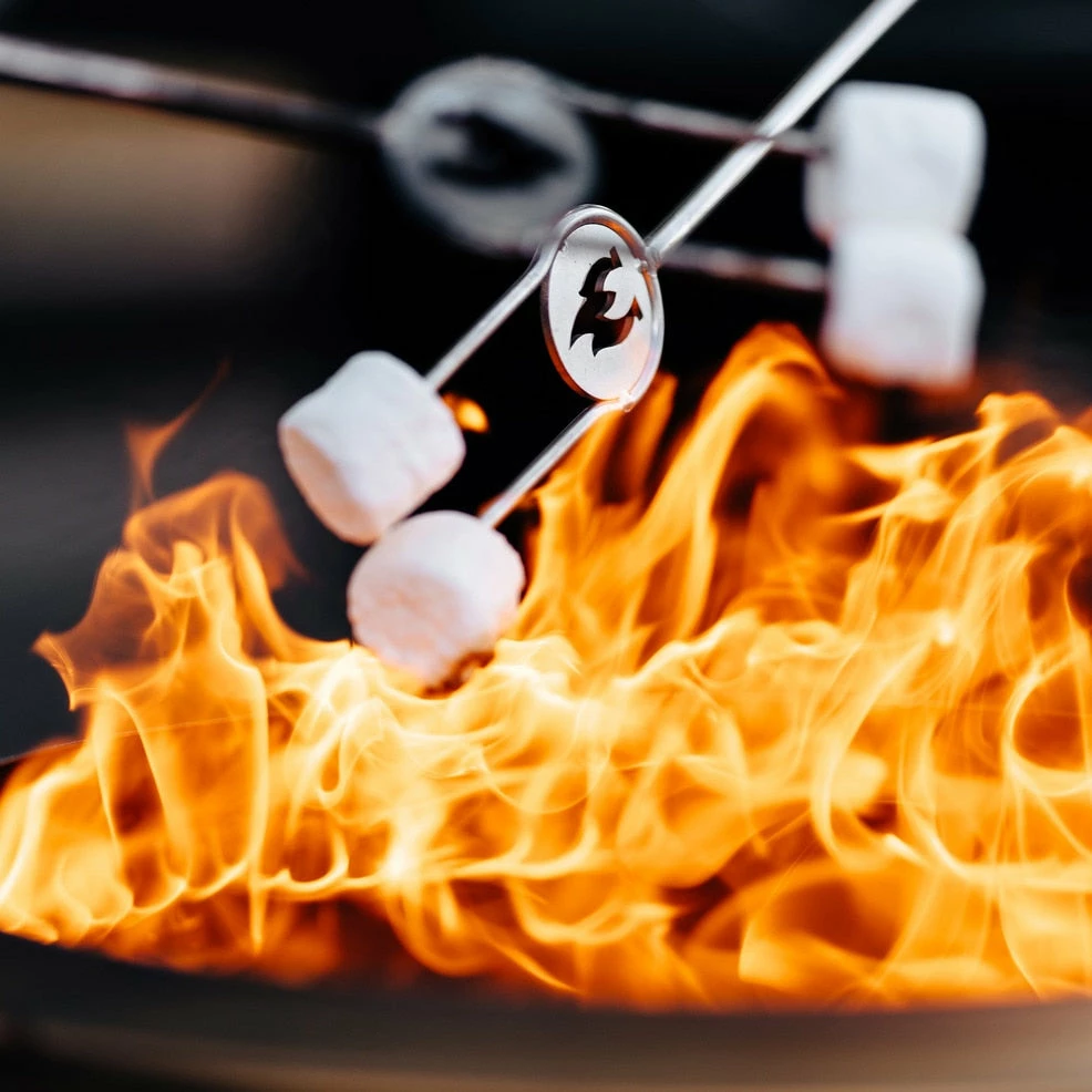 Solo Stove: Roasting Sticks