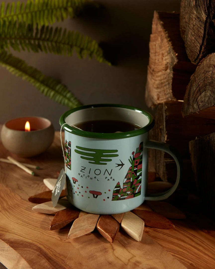 Parks Project: Zion Lizards Enamel Mug