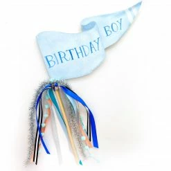 Cami Monet Birthday Boy Party Pennant Decor