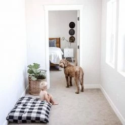 Decor The Foggy Dog: Buffalo Check Plaid Dog Bed