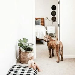 Decor The Foggy Dog: Buffalo Check Plaid Dog Bed