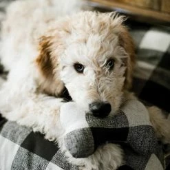 Decor The Foggy Dog: Buffalo Check Plaid Dog Bed