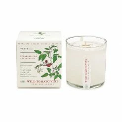 KOBO PTB Collection Wild Tomato Vine Candle
