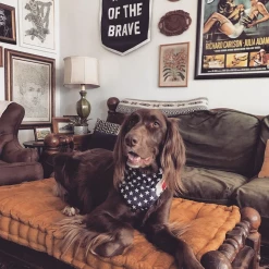 Oxford Pennant: Home Of The Brave Championship Banner