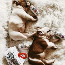 Haute Diggity Dog White Paw Grrriety Pack - Activity House