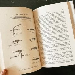 Simon & Schuster Gifts For Him The Fly And The Fish