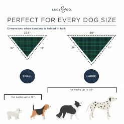 Lucy & Co.: Yara Bandana